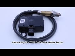 PM SENSOR